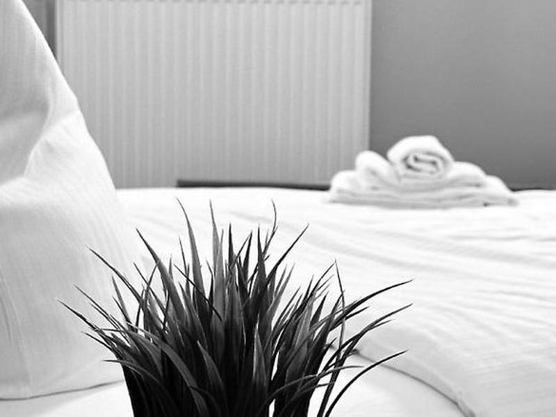 D01F4A4B48F2B6DF4742BD4A85980B36