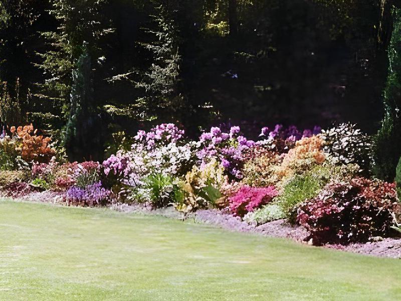 0EE244FC3AEA8041DA37ED6BC332ADEB