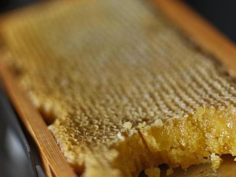 3C84DCC4C2B500C5666146AA70E0ABD2