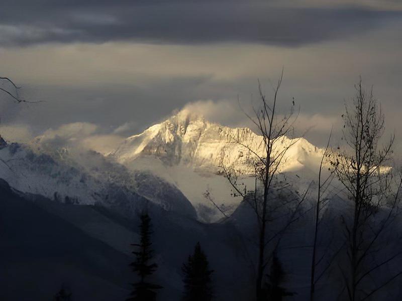 A939F71A7C677E931272921E7CA6C129