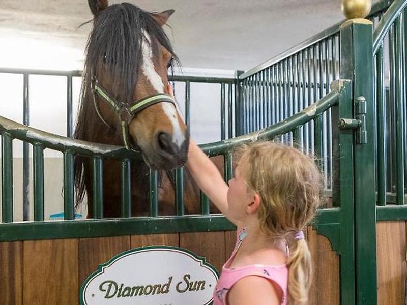 D40C7812F6B189AA6B35A91025F36B7B