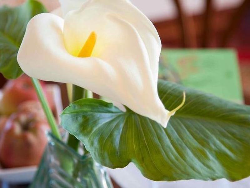 9D702915A245E59D6D88277B37AD54A2