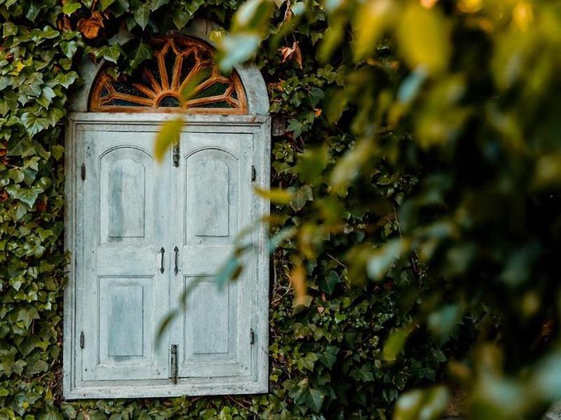 DE7D406F7896E93B11166F13D8FD9D0B