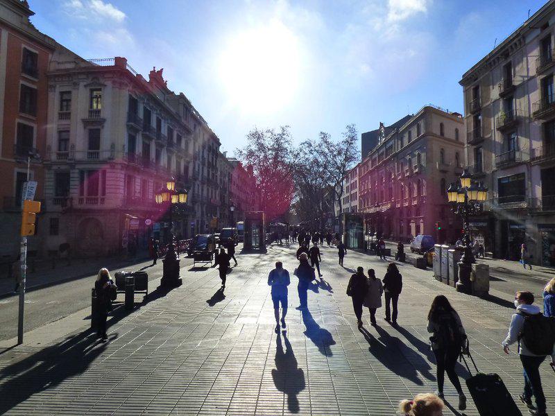 DDDCD95FDEED74B1AF77A0D5819D7B54