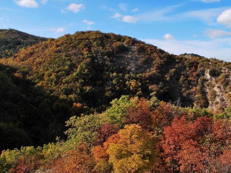 29AF284E279C57F97AC15C8757A7E15F