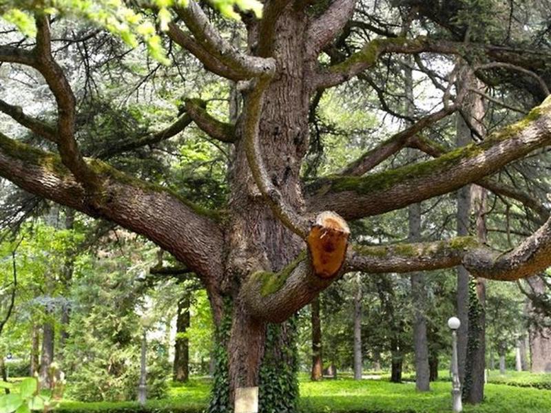 CA0271955B0502E2DF10A616EC9D5AC2