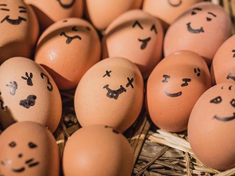 5BD6DF8015A309E1E2AC6A30D26CB5B9