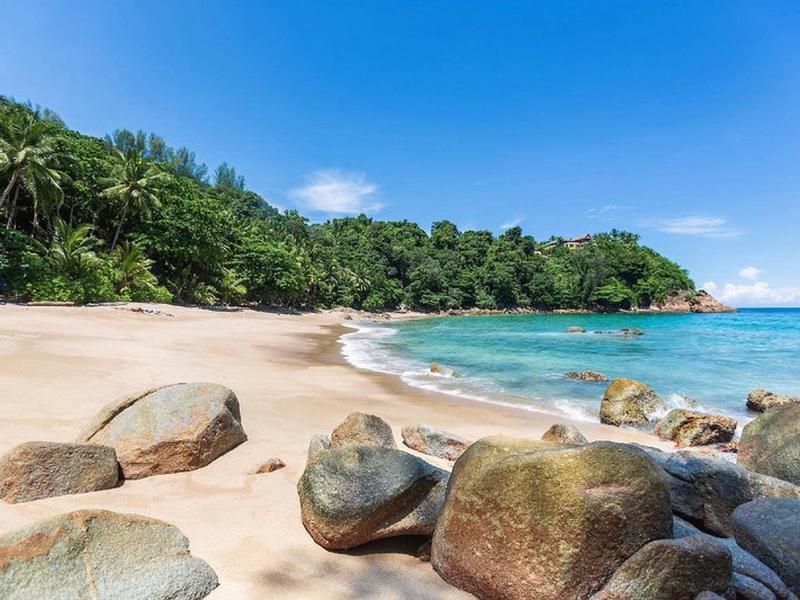 49AA1338F974615B9F3486CA4520486E