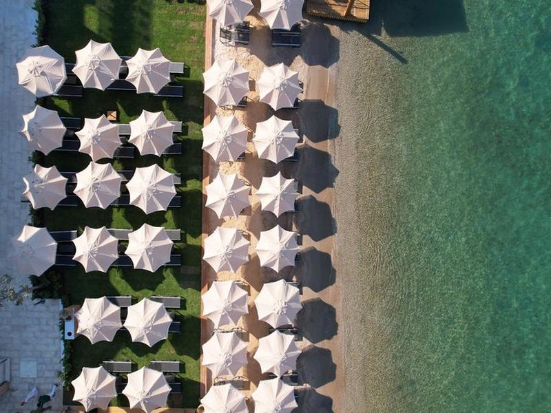 EE68AC6427DEE2A1E1D32D5EB1BAC4A7