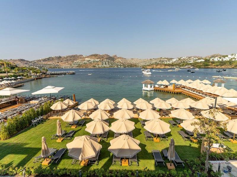 30536DD04BC47A3E0319B64C1E246472