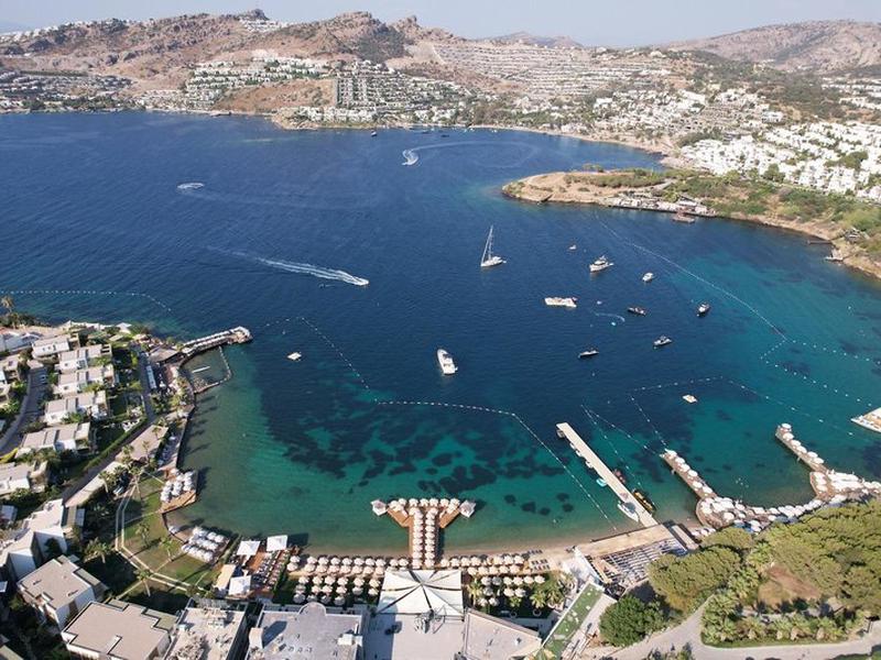 8DA1D55EF9662948060783CF3FF95931