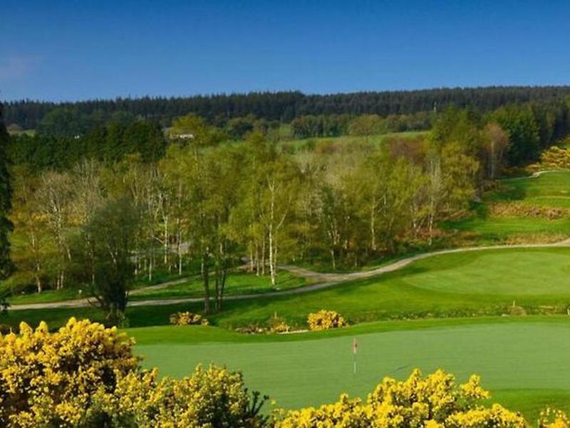 7135BFCC8D8D2D629F6CC888D13181EE