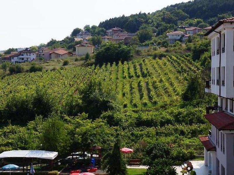 48338AB1791642E63B23A711AA1A81F5