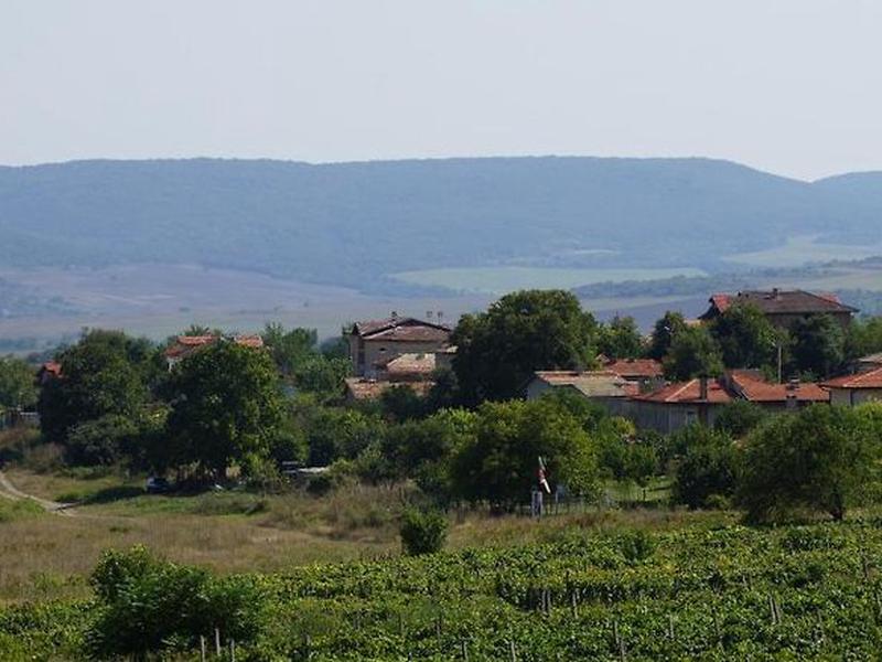 71E3AF6B266D651B4E1B4FBECEA464FC