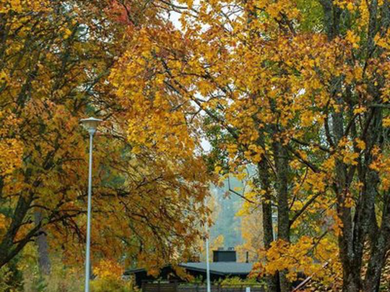 080D7F81620989EA9038DCE2196963BC