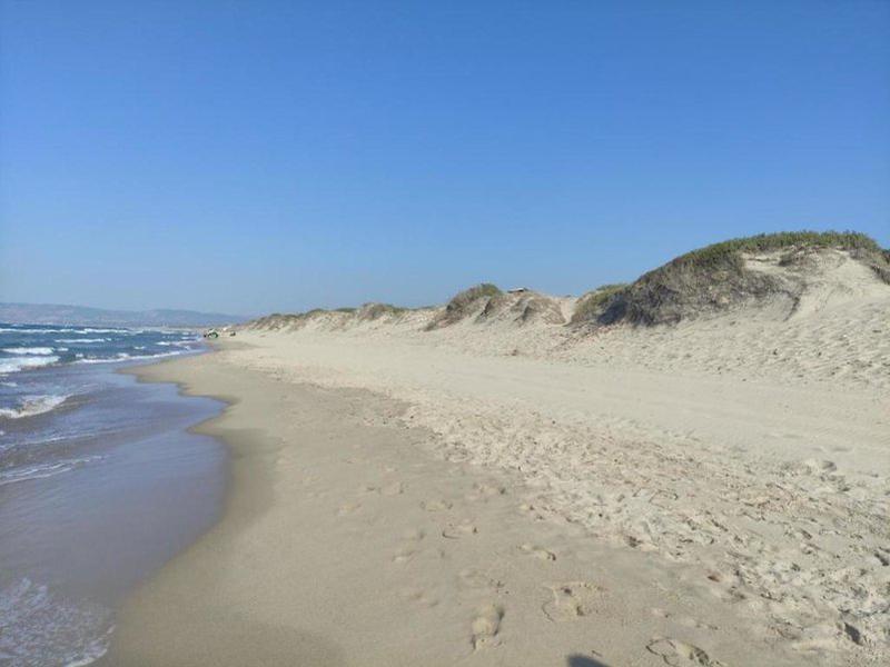 C380BF40CF83C2E86E56B5020D211D85