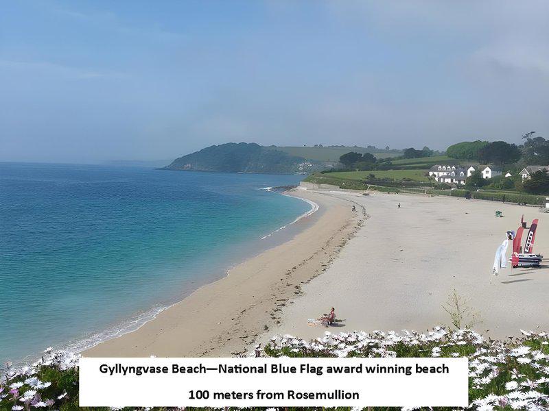 777293CF84371D365501D53166C92611