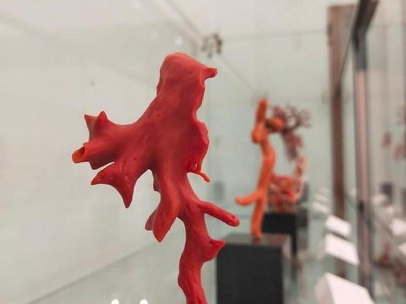 1FCBD04A306C24E6C7BE05A1C9E0E0EC