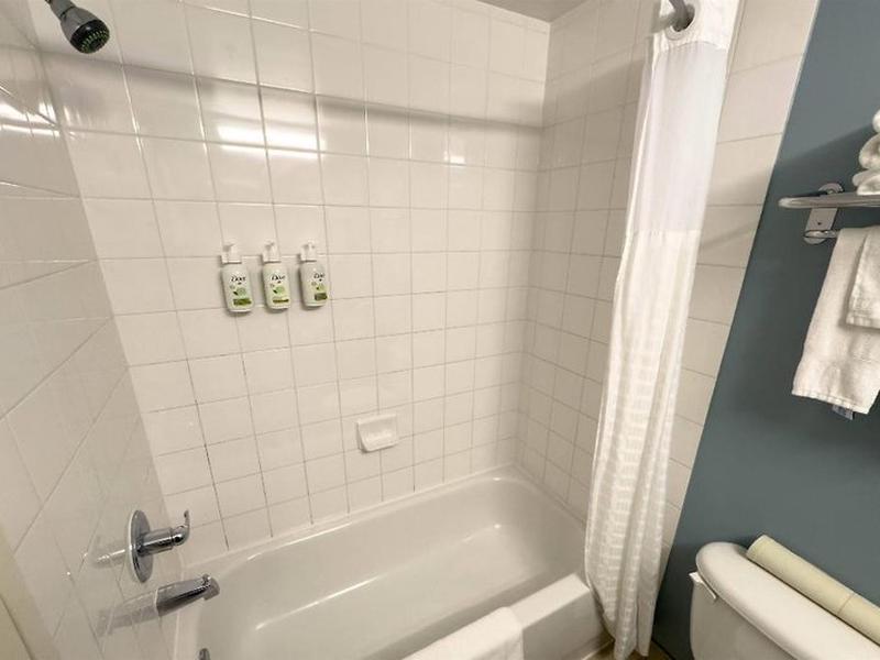 2A438606CDF51A44E925B1E0BEA5D4CE