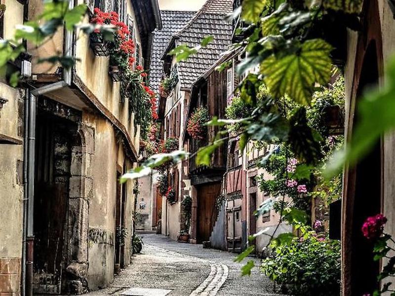 EC2E9DD3BAAE4B4AFFDDF53D92C9F7D0