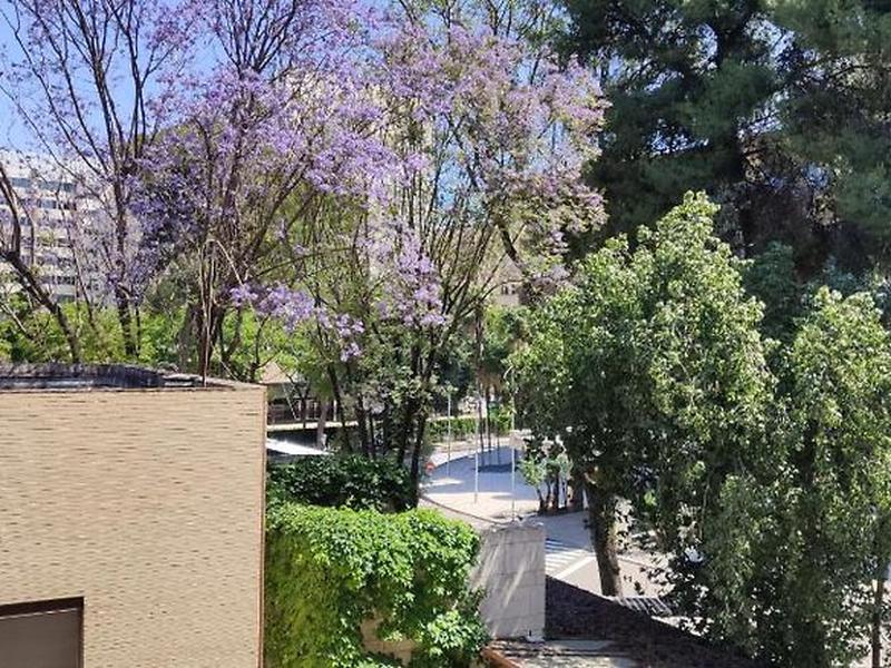 DF87ECF5FDA79A42C8AF8B242E28D573