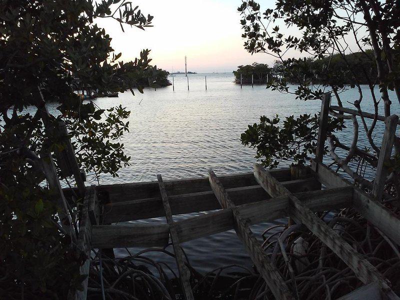 62089583021CB127B4A161F53BF5F446