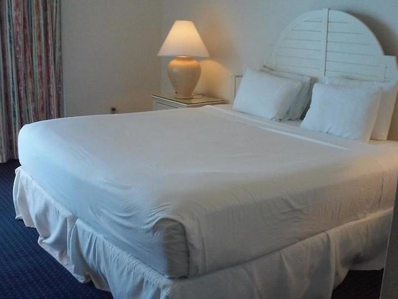 20C390A7289A38C3C15E1F596D704A9E