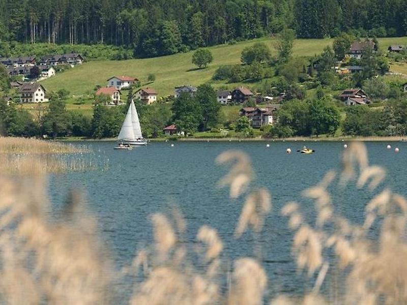 0022C49B699FB8365D4C31AEF90254EC