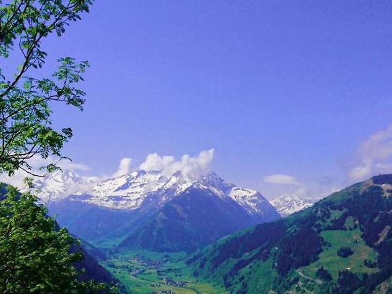 D56460505169C1D752033AEC264D717F