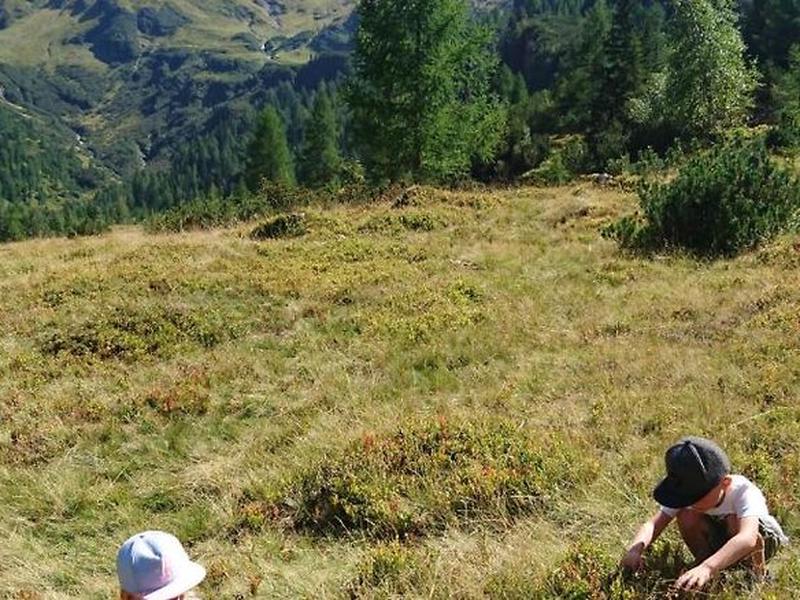 A31AA1C0133A0D11AF2ABF884682327B