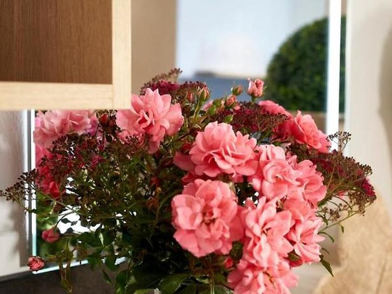 9FD209FB0E0CC4AA75598B5B68B2666C