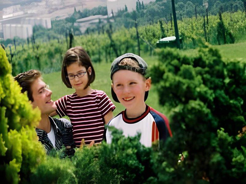 7654B0A9B947A3D94D9A51BE3B99E431