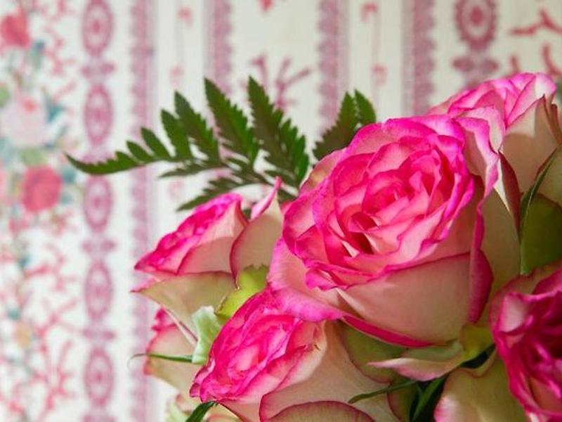 D9D52942D33BC3B8E2E0651A75513364