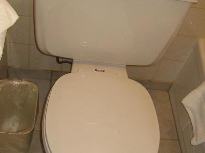 BDE9FC477AED9F439BBF010083C65995