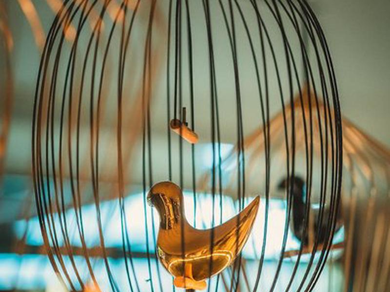 63611A508557A6F9B5BC7A400E0E6794