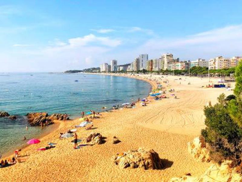 0B9F0979B4E6F0C2DCC826B59C3D7971