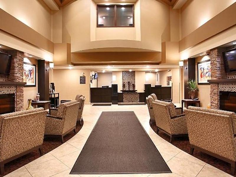 B15C87992C223DED24685F7AD3E90810