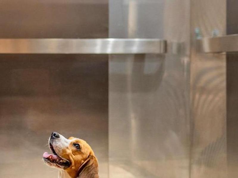 9C5453EDAF8875D8B87026AA3A50F819