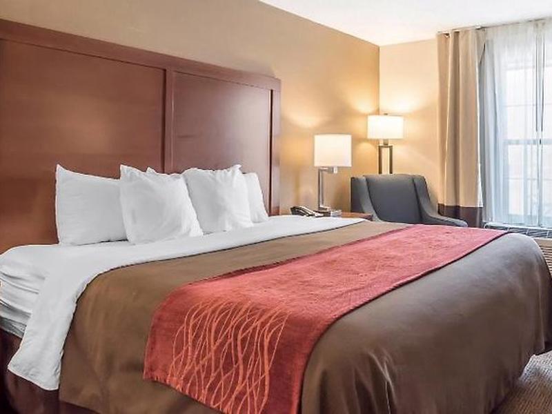 95B4490DC2DC7A2236F05E25D8C371E1