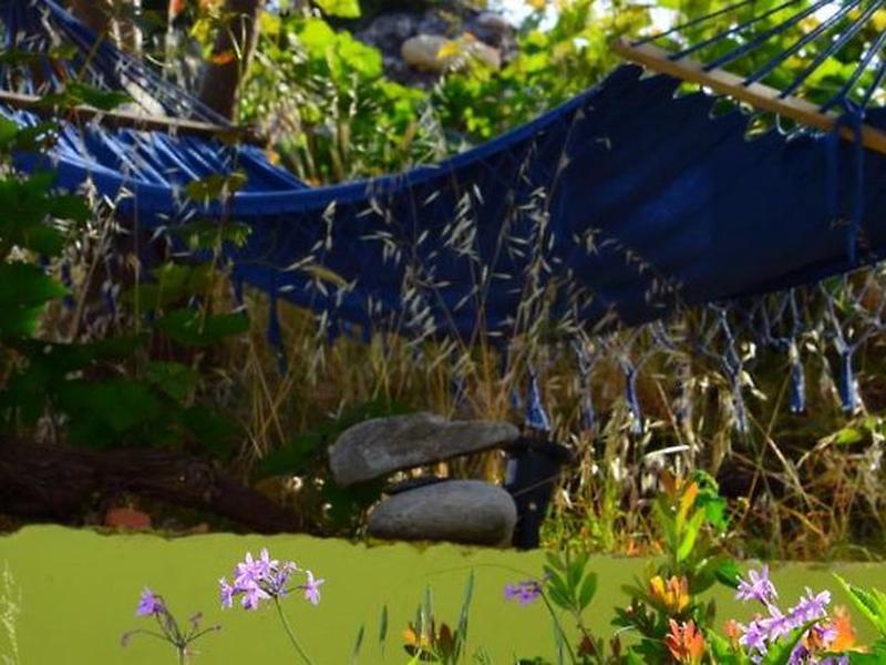 C1C850596C3EC63F38C81E6C8D3FF35A