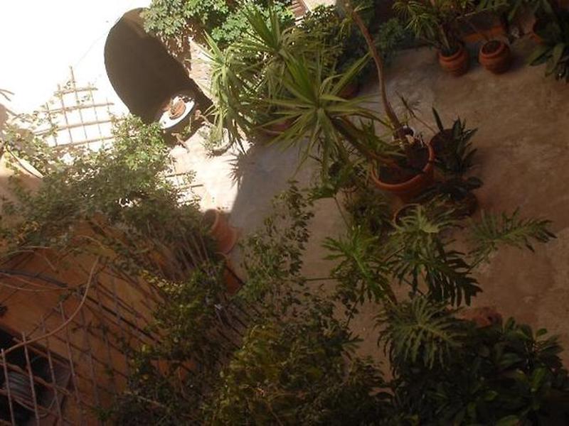 418E055C69BDE2892D398E3B628126DA