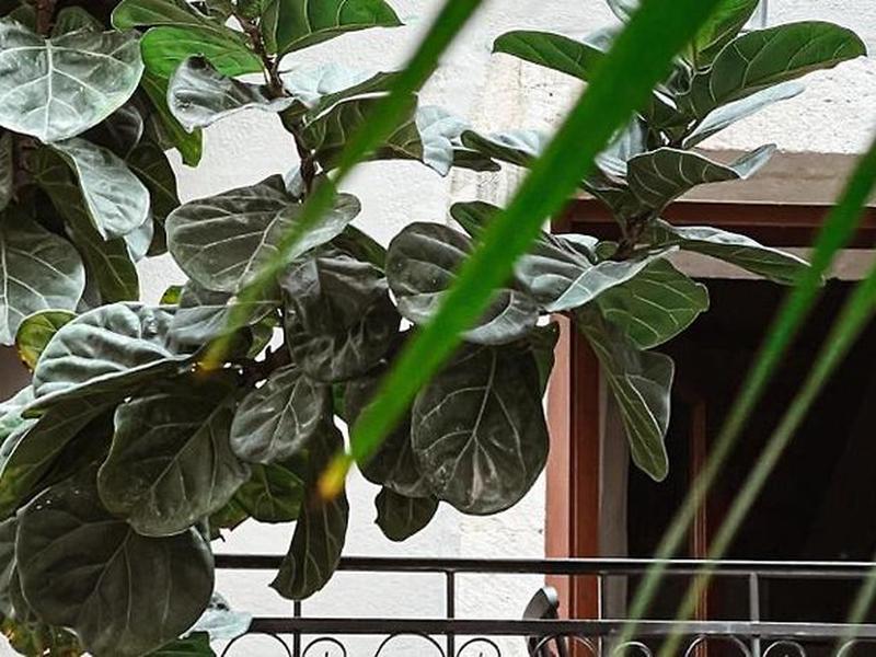 3312BBAA2423A8519E555E399D41CCDB