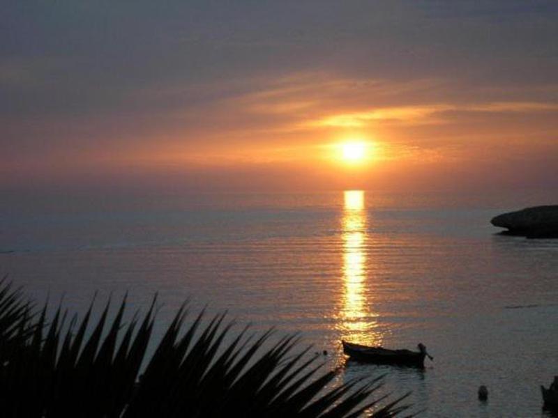 969A60569D0925BD3576C527CD61DCFF