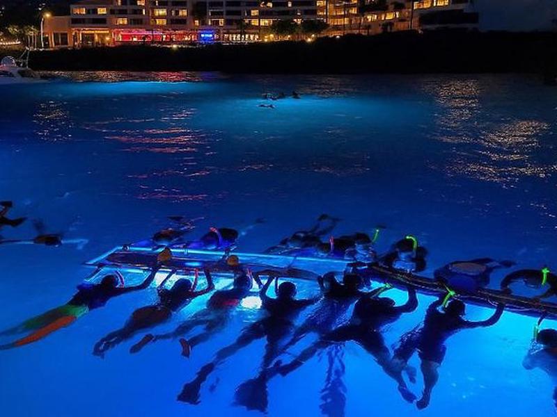 C91DD7C361492EC1BA341897CA5AFADD