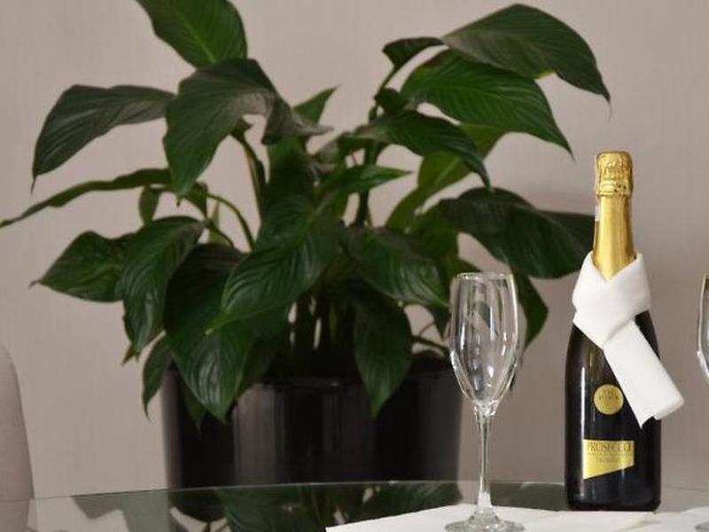 717997505739BBE009FA0F55DD280701