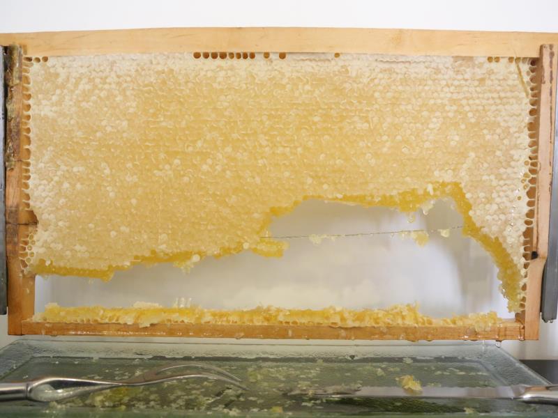 36C10FC201ED7E8BE95FDF658E4BAB58