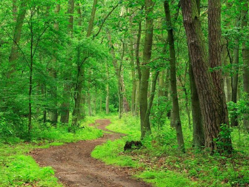 FA3198D42B8704779D24F6B03F99F251