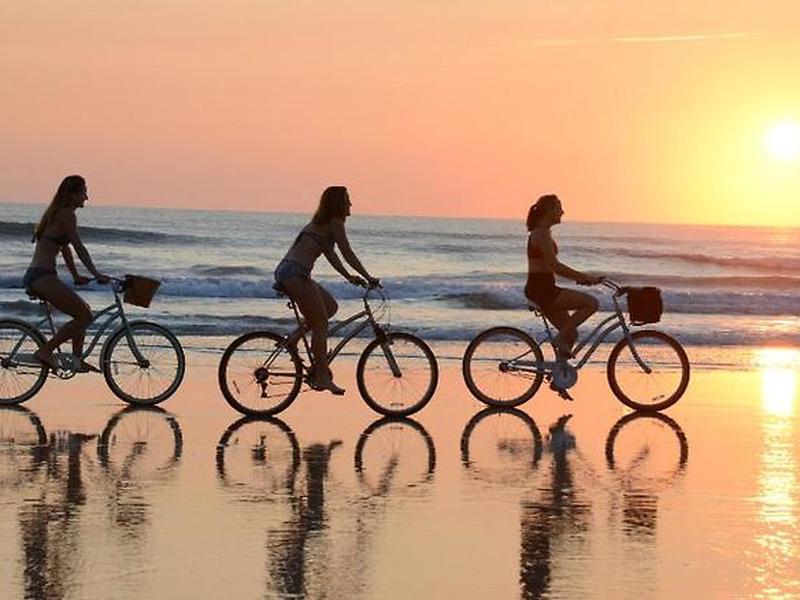 C68E513E6E3E2093502A3E915E2C4173