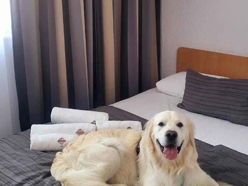 BC03C2CDFFF1AE37A87A6EBF132DC096