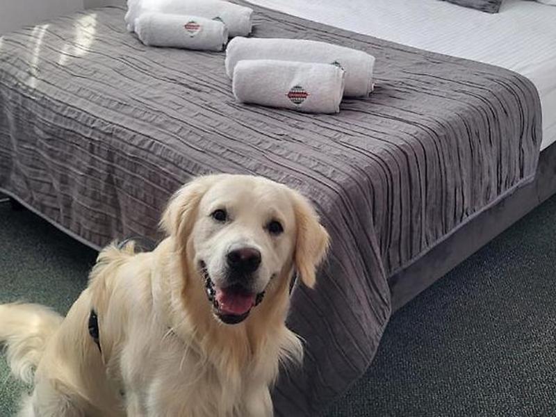 31914B5ACE53CC211F7F6627A8D14801